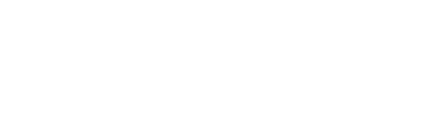 logo white transparent